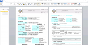 logiciel-gestion-non-conformite-action - Impression-sous-word-edition-modele-QALITEL-conform-FullWeb-logiciel-qualite-gestion-des-non-conformite-.png.